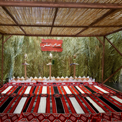 معرض الصقور